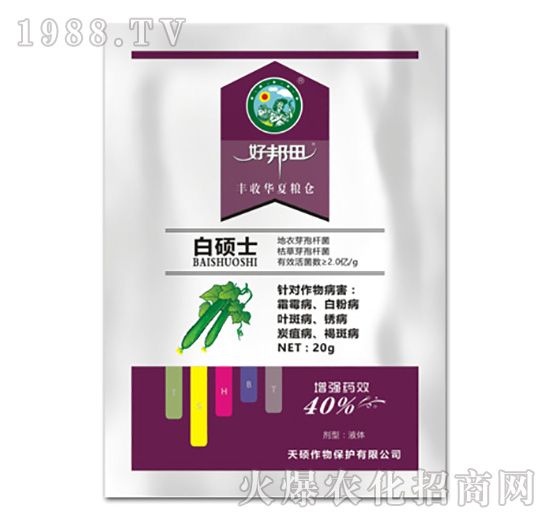 �״Tʿ-�ð���-��T����