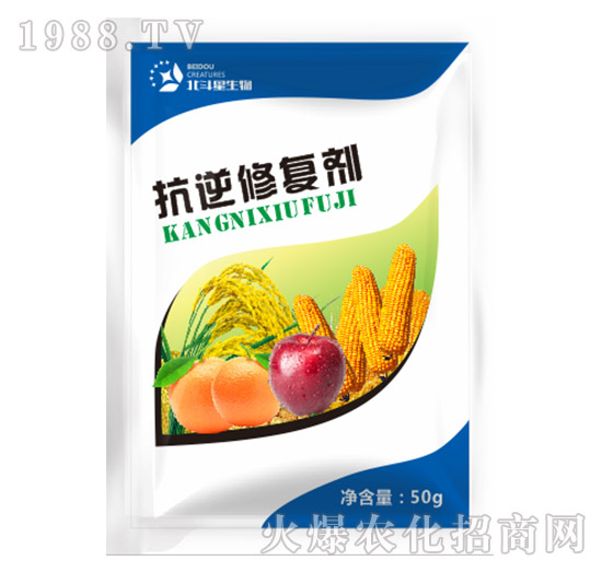 �����ޏ̈́�-������