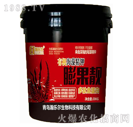 ����n-嫘�(l��)��