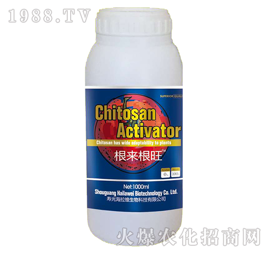 ����(l��i)����-�����S