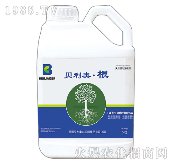 Ͱ�b��Ȼ����������-ؐ���W����-�����S