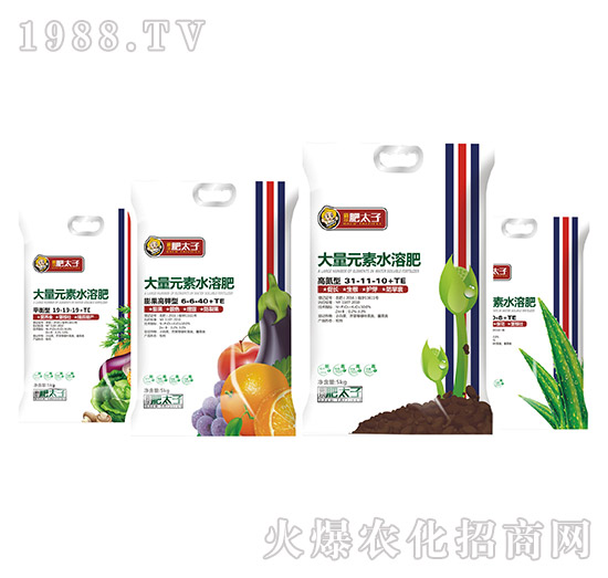 ����Ԫ��ˮ�ܷ�-��̫��