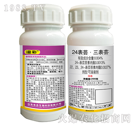 24���|�������|-���-�|������