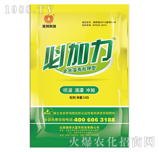 �ؼ���-����Ƽ�