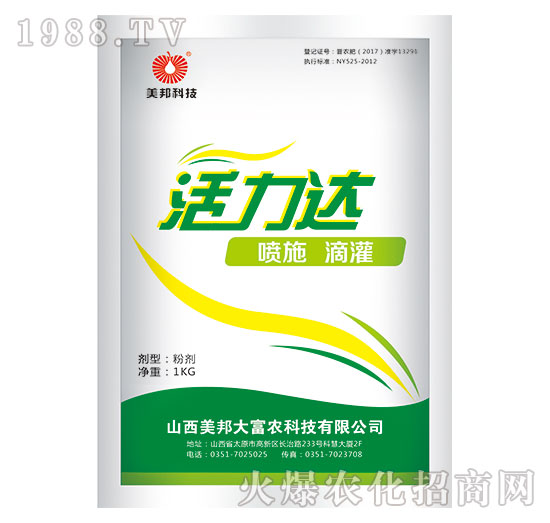 �����_(d��)-����Ƽ�