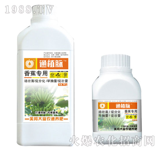 �㽶���÷�-ֲͨ�}-����Ƽ�