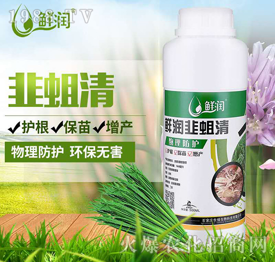 �r��(r��n)������-�r(n��ng)������