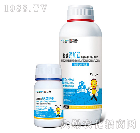 �Ǵ��}���V-�W���r�I(y��)