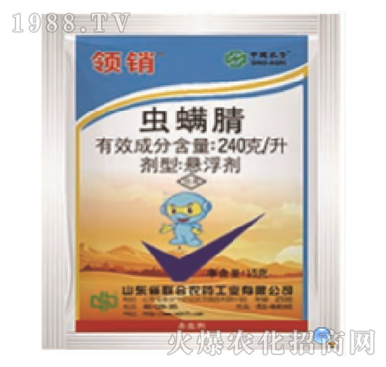 240��ÿ���x����-�I(l��ng)�N-���r(n��ng)(li��n)��