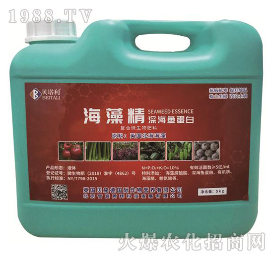 ���徫��~����-ؐ����