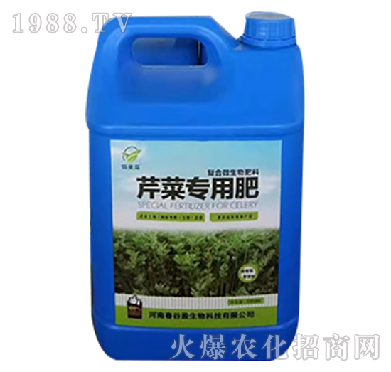 �۲ˌ��÷�-��ʥ��-��(r��n)�f(w��n)���r(n��ng)�I(y��)