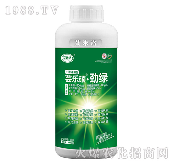 �V�Vͨ���͡��žG-������