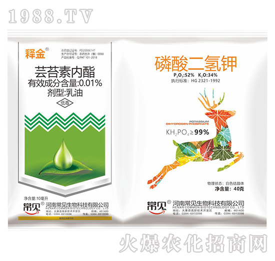 �|̦�؃���+��������-ጽ�-��Ҋ����