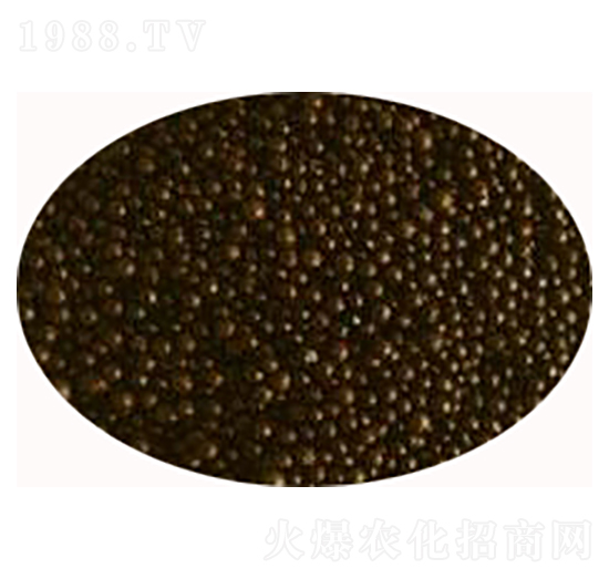 ΢������ʃr(ji��)��-���S����