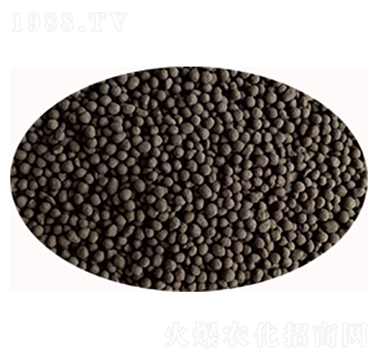 �������-���S����