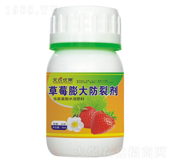 ��ݮ�����ф�-���r(n��ng)��(y��u)��-���r(n��ng)����