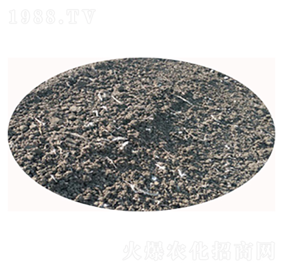 ����u�S-���S����