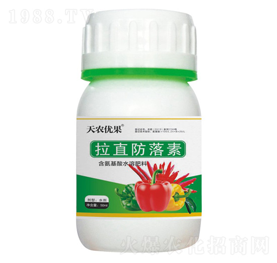 ������ֱ������-���r��(y��u)��-���r����