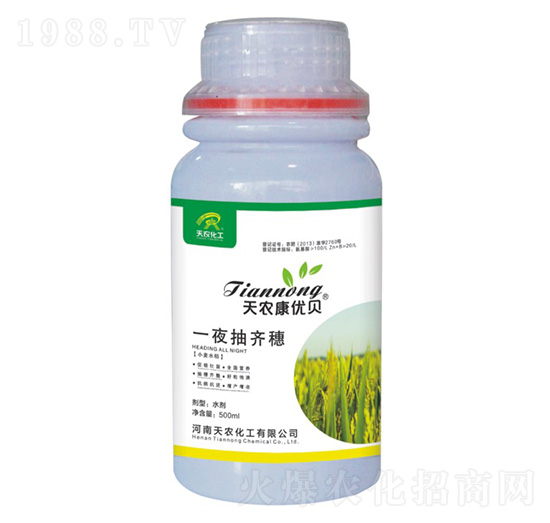 һҹ���R��-���r����(y��u)ؐ-���r����