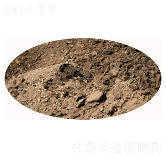 ���u�S�S(ch��ng)��-���S����