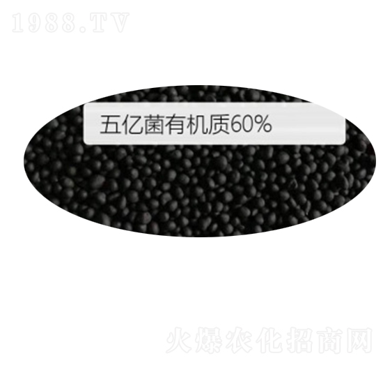 �w��΢�������-�G�����ʘI(y��)