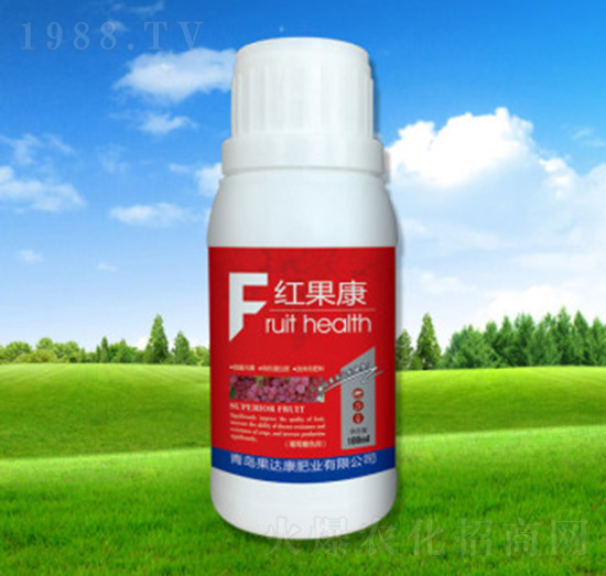 �t����-���_(d��)���ʘI(y��)