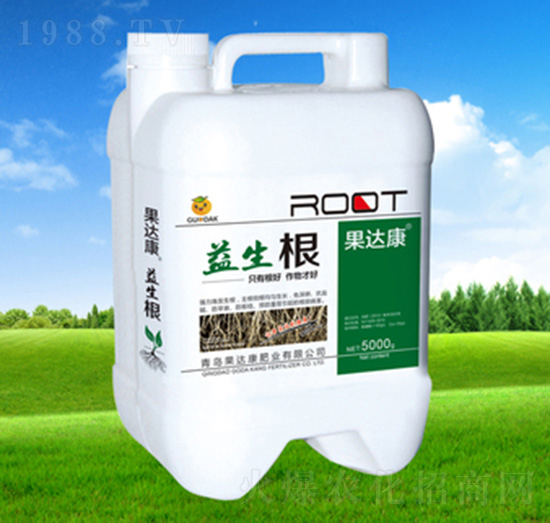 ������-���_(d��)���ʘI(y��)