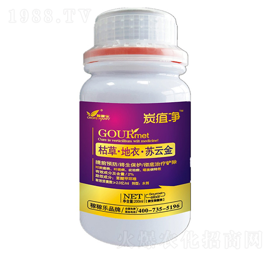 �ݲݡ����¡��K�ƽ�-̿�҃�-�ڼژ�