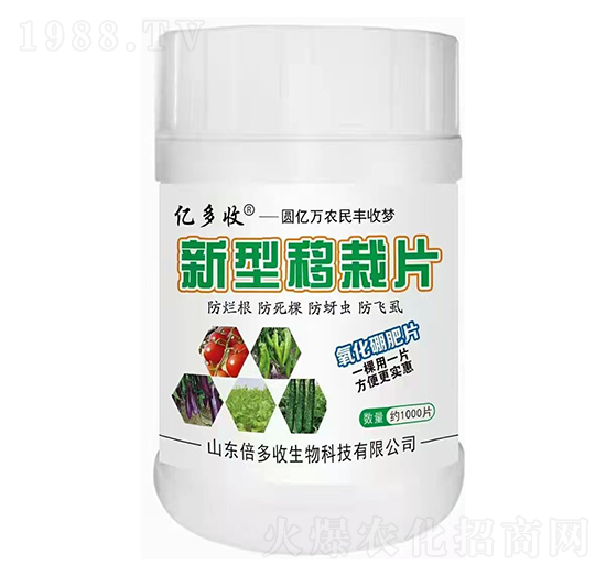 ��������Ƭ-������