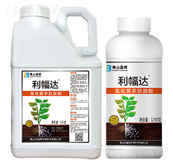 �����_(d��)-ӯ�x