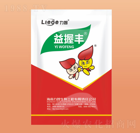 �������a(ch��n)�ײ�-�����S-��������