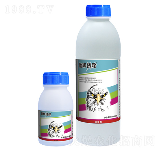 ʭ����Ҹ���-ӯ�x�P��-ӯ�x