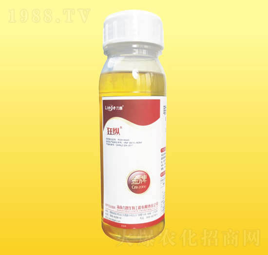 ���ƿ�v���x��-��������