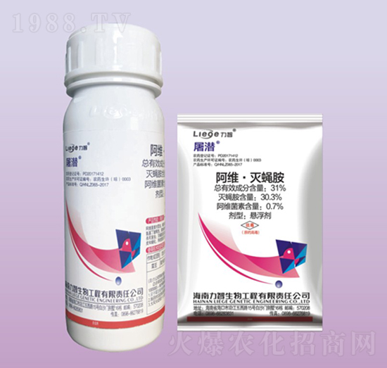 �������x��-��������