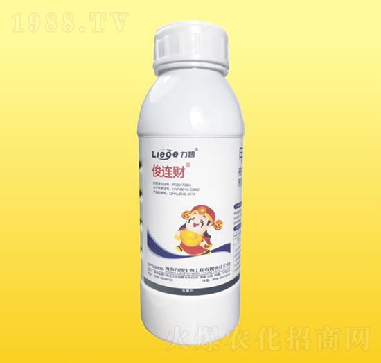 ���Bؔ������-��������