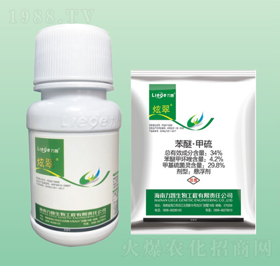 ���e������-��������