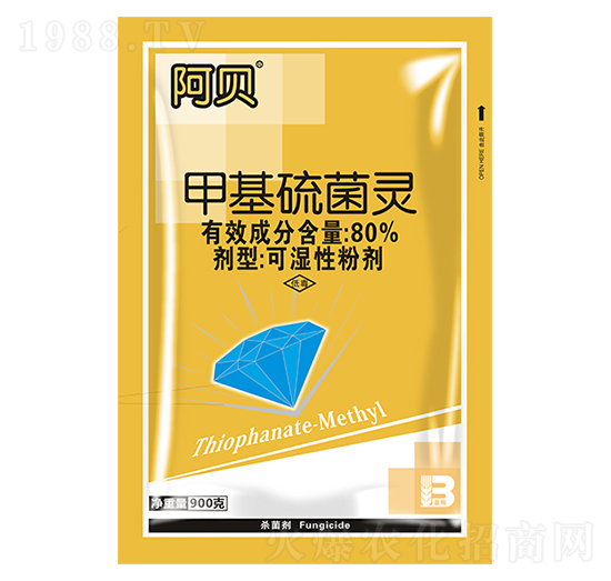 80%�׻�����`-��ؐ-ӯ�x