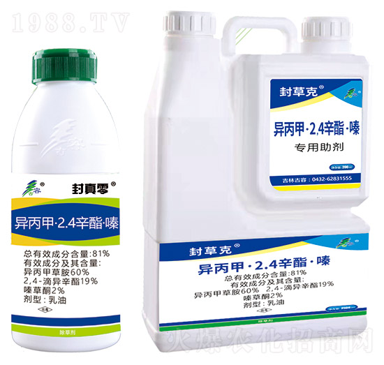 81%�����ס�2.4�������-������-����