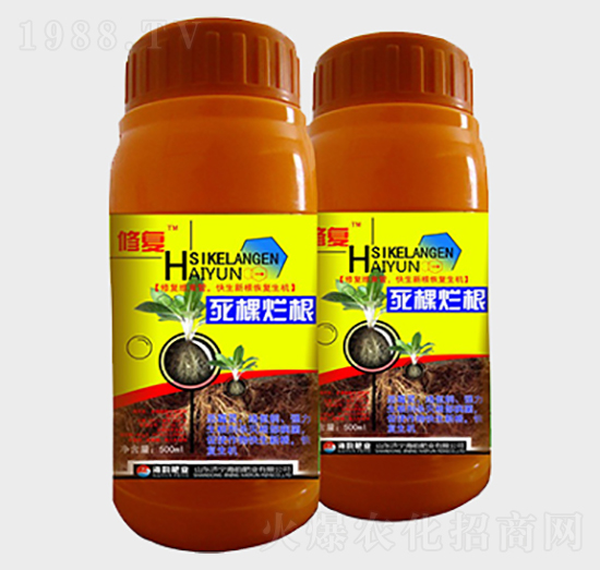 ���������~���-�ޏ�(f��)-��퍷ʘI(y��)