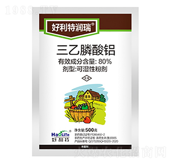 80%��������X-�����؝���-����������