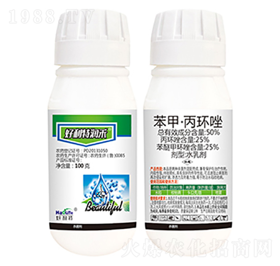 50%���ס����h(hu��n)��-�����؝�(r��n)��-����������