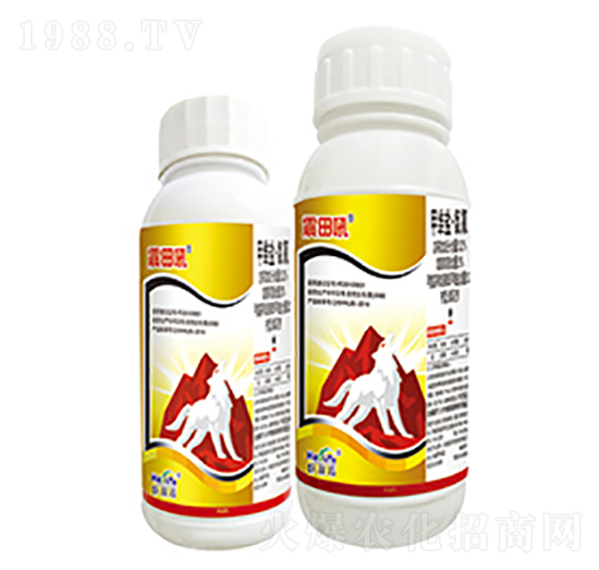 3.2%�׾S�}������-�����-����������