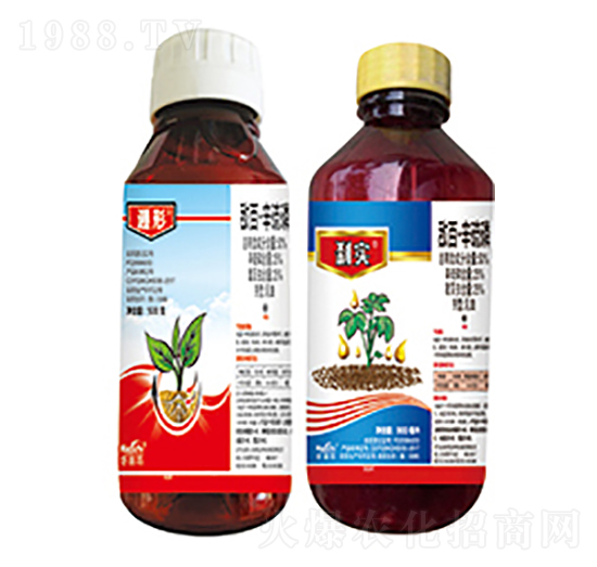 50%���١�������-����+�x��-����������