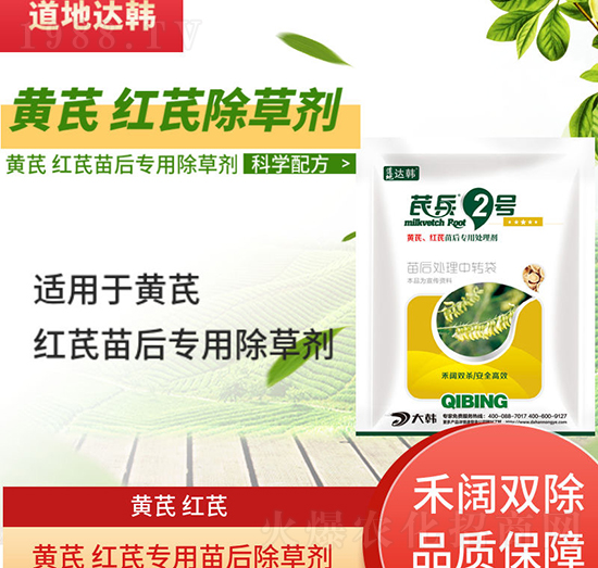 �S�μt�γ��݄�-�S�μt�����-�S�μt�Ό���-���n