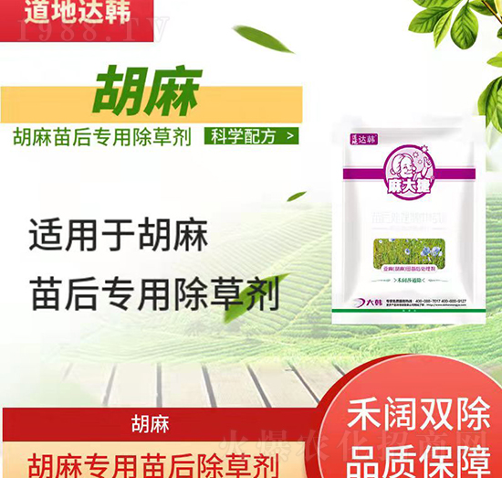 ������݄�-�������-���錣(zhu��n)��-����-���n