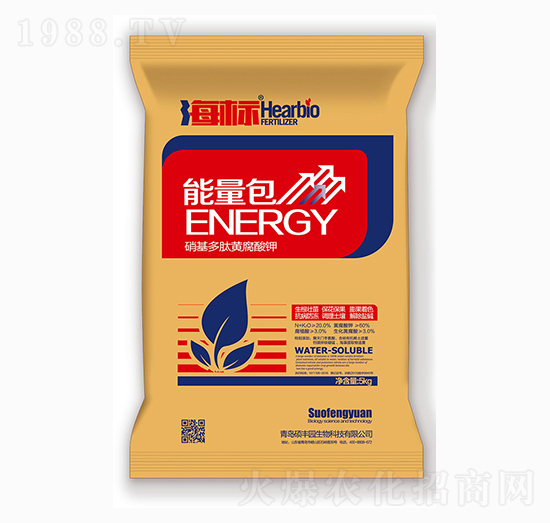 ���������������S�����-����(bi��o)-�T�S�@