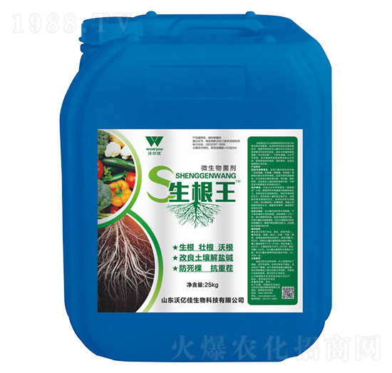 ΢�������-������-�֠���(y��u)