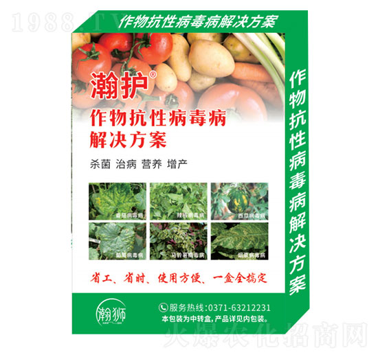 ���￹�Բ�������Q����-��o-嫪{�r(n��ng)�I(y��)