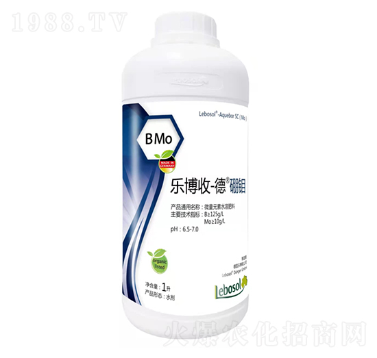 �����յ����f��-����