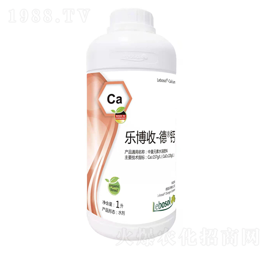 �����յ��}-������-���}